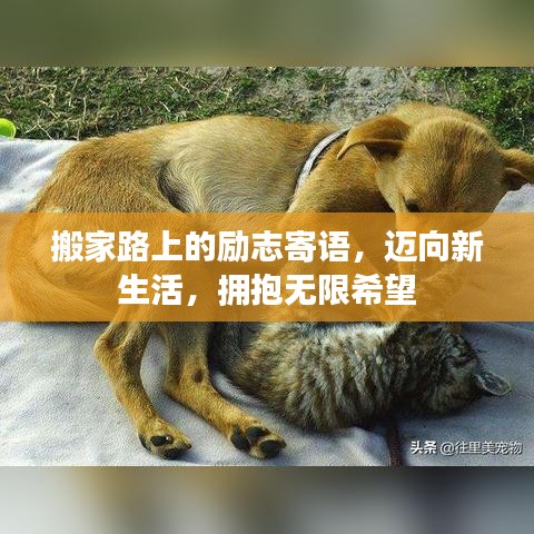 搬家路上的励志寄语，迈向新生活，拥抱无限希望
