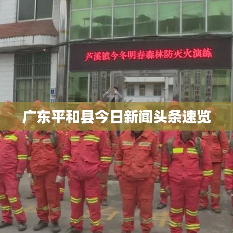 广东平和县今日新闻头条速览