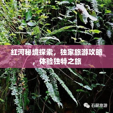 红河秘境探索，独家旅游攻略，体验独特之旅