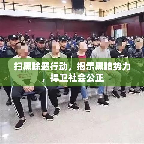 扫黑除恶行动，揭示黑暗势力，捍卫社会公正