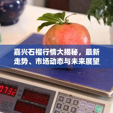嘉兴石榴行情大揭秘，最新走势、市场动态与未来展望