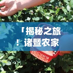 「揭秘之旅！诸暨农家乐，百度带你体验乡村风情！」