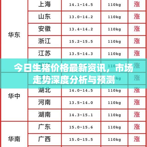 今日生猪价格最新资讯，市场走势深度分析与预测