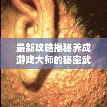 最新攻略揭秘养成游戏大师的秘密武器，轻松养成心仪角色！