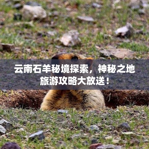 云南石羊秘境探索，神秘之地旅游攻略大放送！