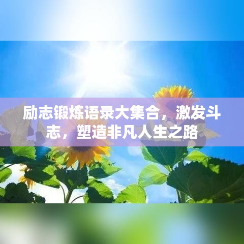 励志锻炼语录大集合，激发斗志，塑造非凡人生之路
