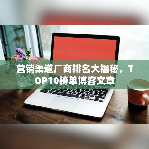 营销渠道厂商排名大揭秘，TOP10榜单博客文章