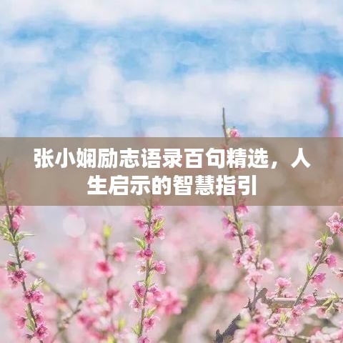 张小娴励志语录百句精选，人生启示的智慧指引