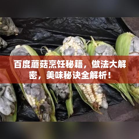 百度蘑菇烹饪秘籍，做法大解密，美味秘诀全解析！
