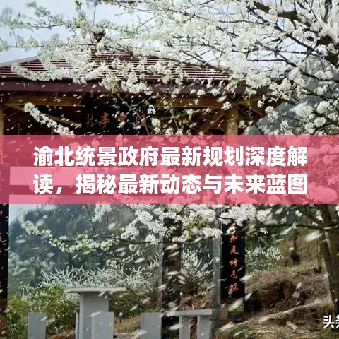 渝北统景政府最新规划深度解读，揭秘最新动态与未来蓝图