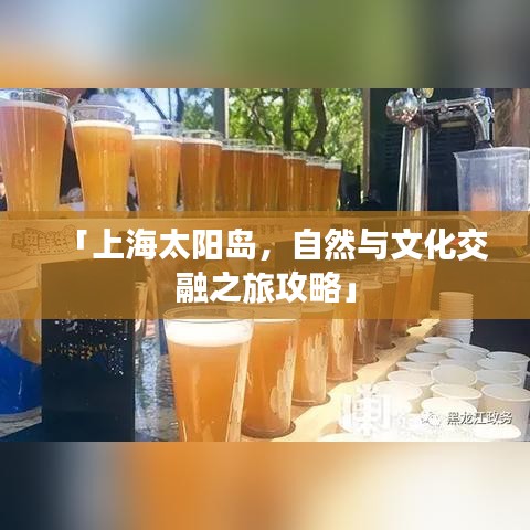 「上海太阳岛，自然与文化交融之旅攻略」