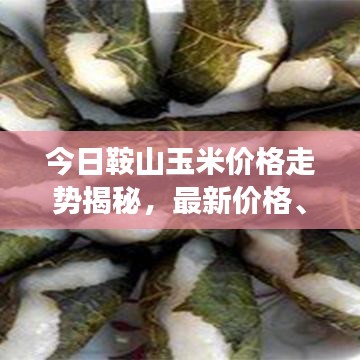 今日鞍山玉米价格走势揭秘，最新价格、市场动态与影响因素深度解析
