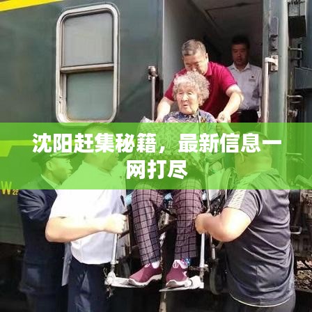 沈阳赶集秘籍，最新信息一网打尽