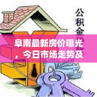 阜南最新房价曝光，今日市场走势及购房指南一网打尽！