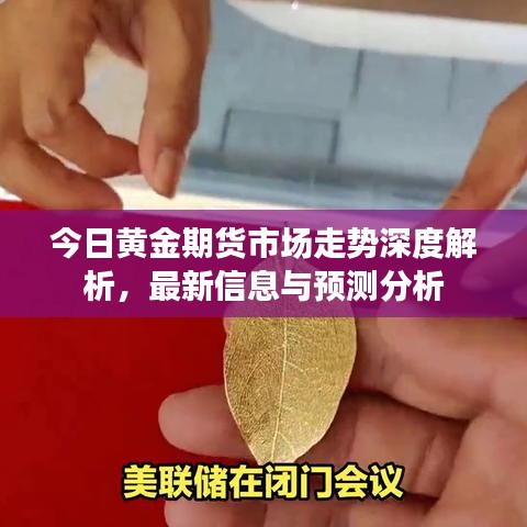 今日黄金期货市场走势深度解析，最新信息与预测分析