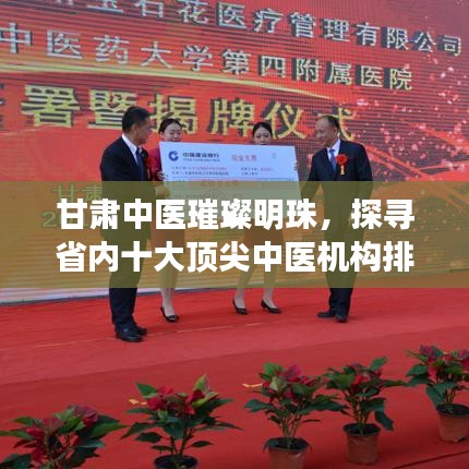 甘肃中医璀璨明珠，探寻省内十大顶尖中医机构排名