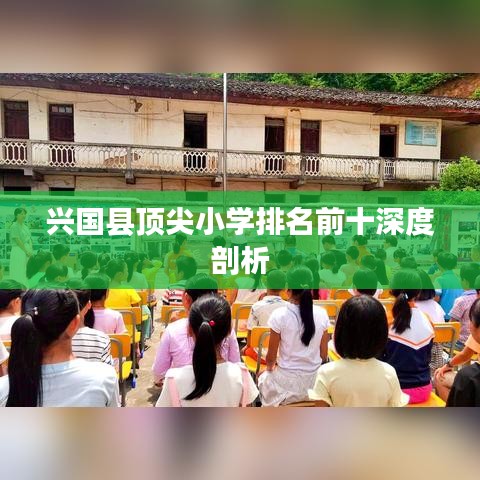 兴国县顶尖小学排名前十深度剖析