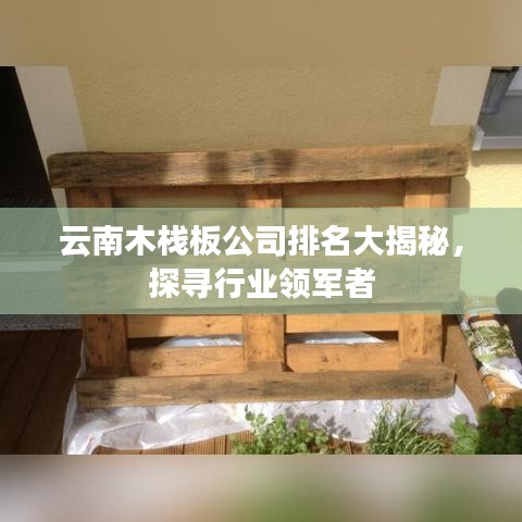 云南木栈板公司排名大揭秘，探寻行业领军者