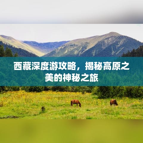 西藏深度游攻略，揭秘高原之美的神秘之旅