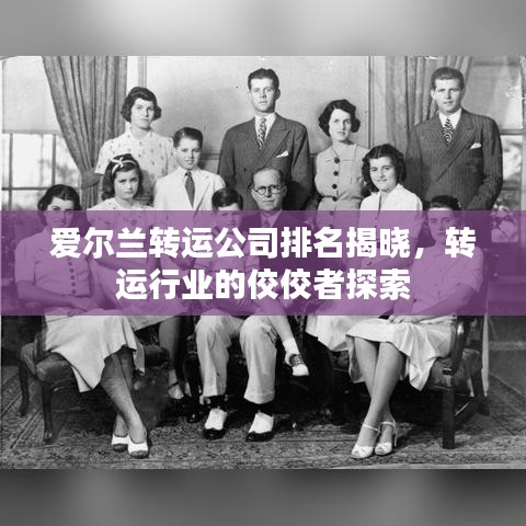 爱尔兰转运公司排名揭晓，转运行业的佼佼者探索