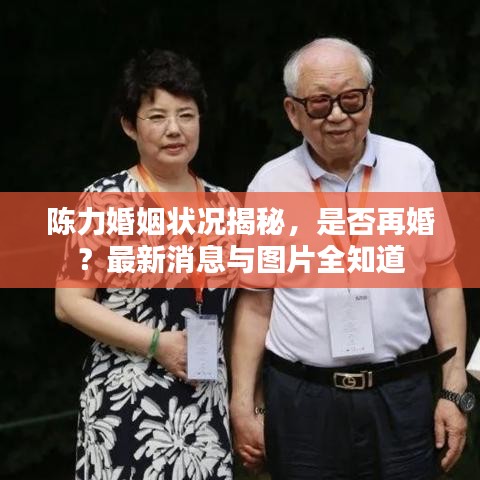 陈力婚姻状况揭秘，是否再婚？最新消息与图片全知道