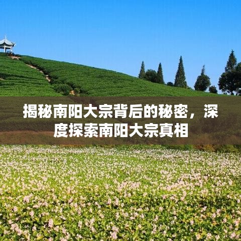 2025年6月30日 第4页