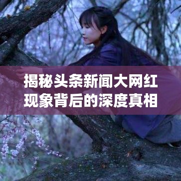 揭秘头条新闻大网红现象背后的深度真相
