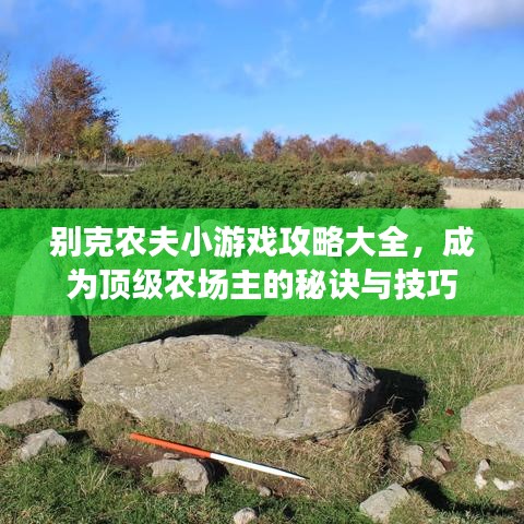 别克农夫小游戏攻略大全，成为顶级农场主的秘诀与技巧