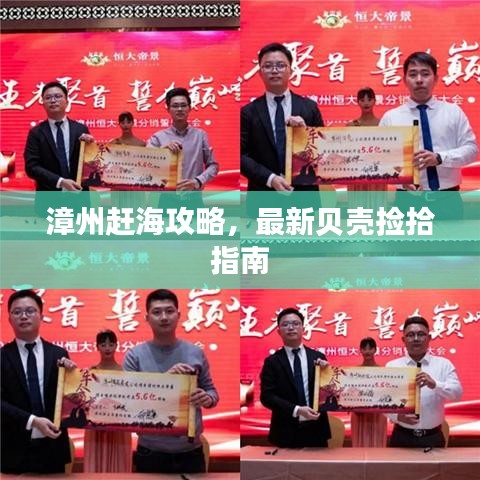 漳州赶海攻略，最新贝壳捡拾指南