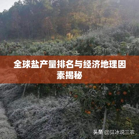 全球盐产量排名与经济地理因素揭秘