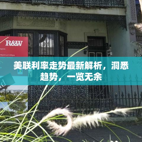 美联利率走势最新解析，洞悉趋势，一览无余