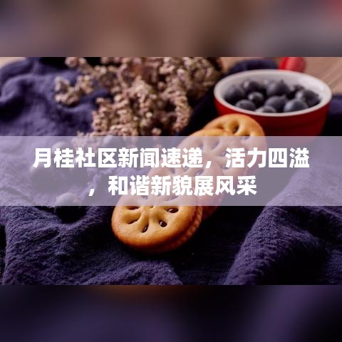 月桂社区新闻速递，活力四溢，和谐新貌展风采